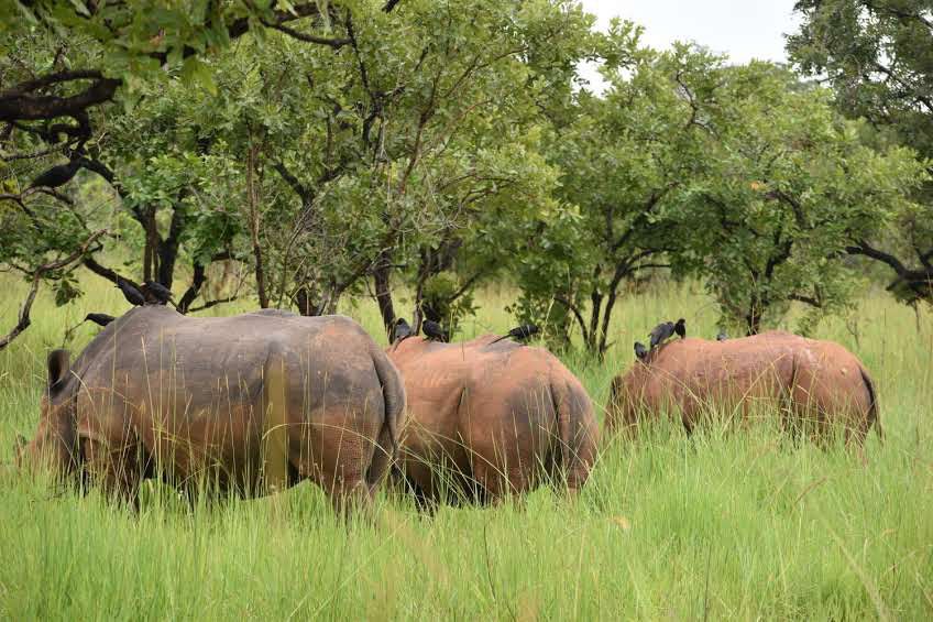 Mount Elgon National Park